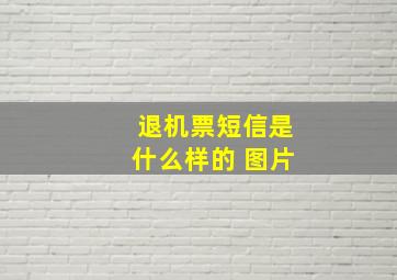 退机票短信是什么样的 图片